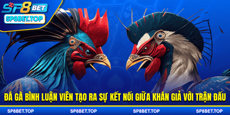 Đá gà bình luận viên tạo ra sự kết nối giữa khán giả với trận đấ