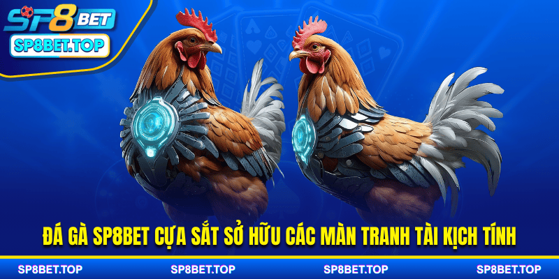 Đá gà SP8BET cựa sắt sở hữu các màn tranh tài kịch tính